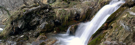 Cento spruzzi: l'acqua